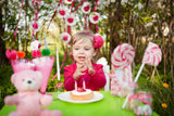Toddler Party Entertainer Package
