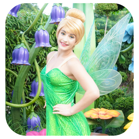 Tinker Bell Party Adelaide