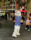 Easter Bunny Hire