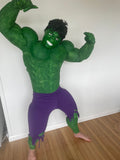 Hulk Party Entertainer