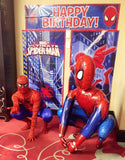Spider-Man Party Entertainer