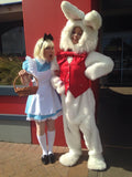 Alice In Wonderland Entertainer Melbourne