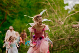 Magical Fairy Party Perth